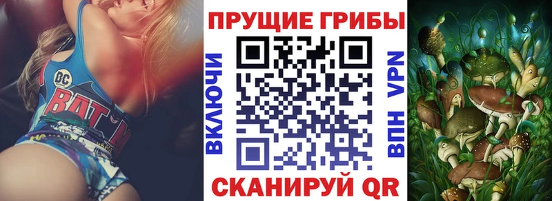 как найти наркотики  Ленинск  Псилоцибиновые грибы GOLDEN TEACHER 